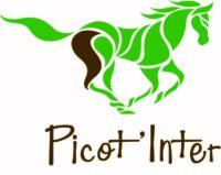 Picot'Inter_logo_couleur.jpg